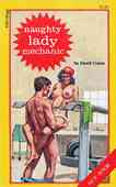 Naughty Lady Mechanic